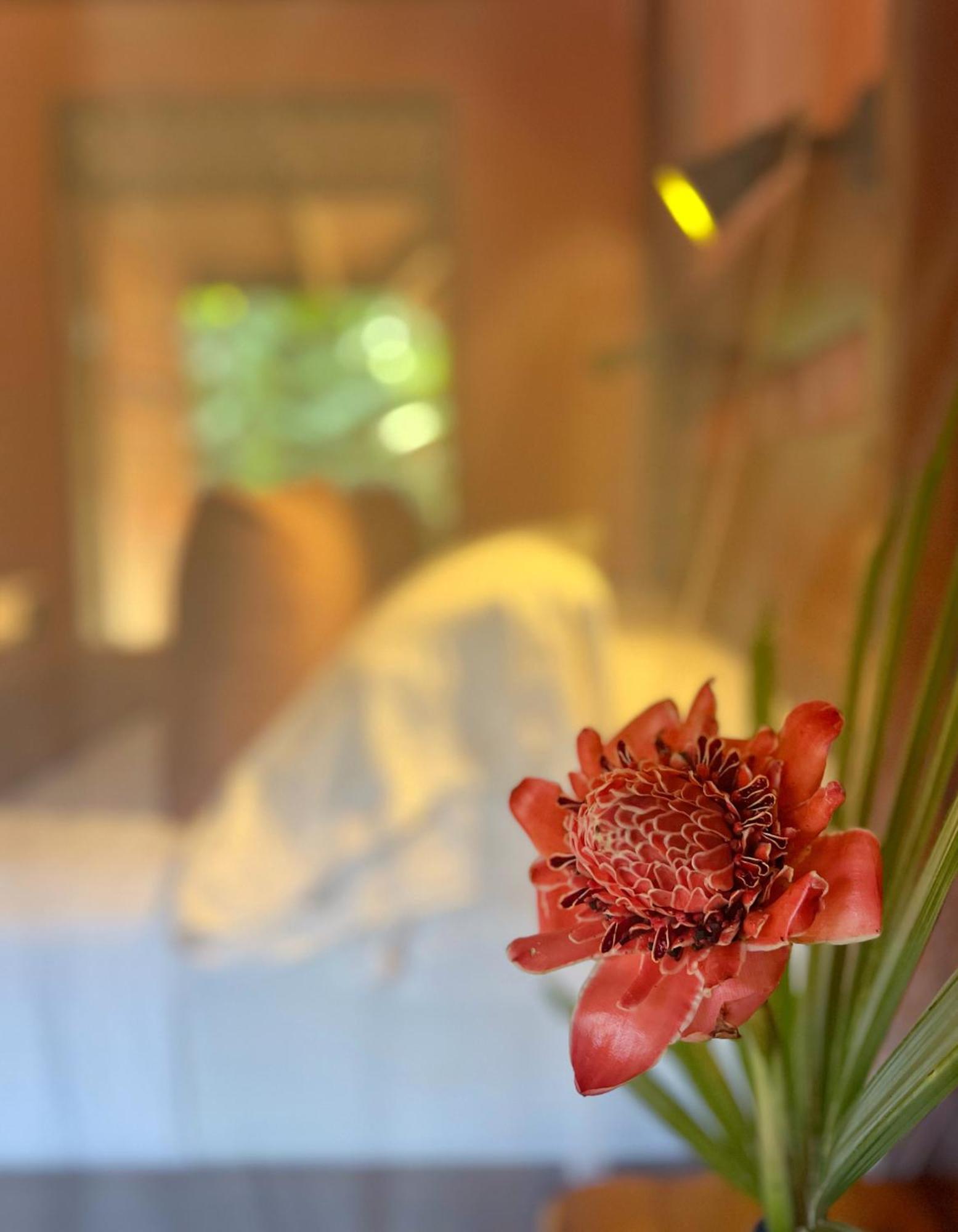 Geckoes Lodge Cocles Zewnętrze zdjęcie