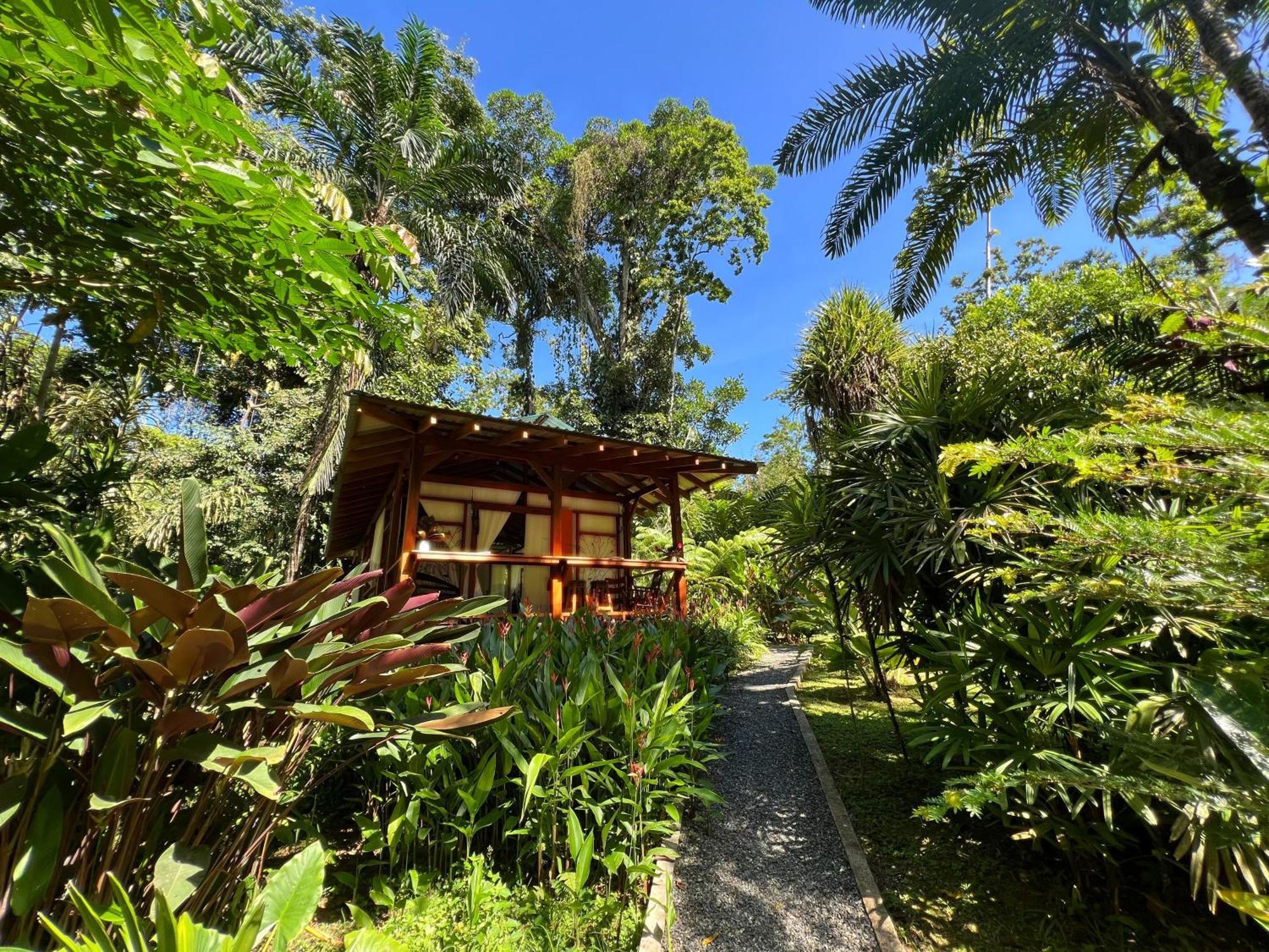 Geckoes Lodge Cocles Zewnętrze zdjęcie